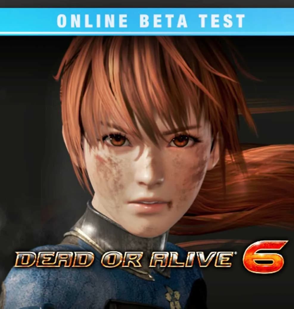 Dead or Alive 6 Free Download cover art