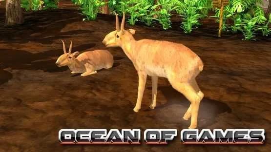 Wildlife Park 3 Asia Free Download cover art